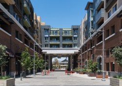 The Garey Building's paseo, which sits above a parking garage and functions as a fire lane, is paved with a rich palette of materials and patterns that add complexity and energy to the linear character of the development's architecture.